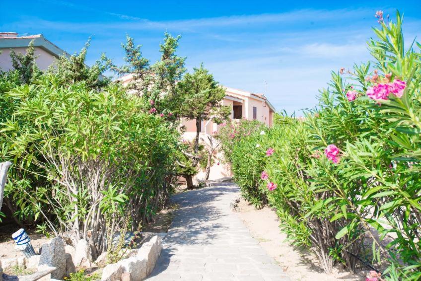 Baia Delle Mimose Aparthotel บาเดซี ภายนอก รูปภาพ
